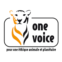 One Voice France